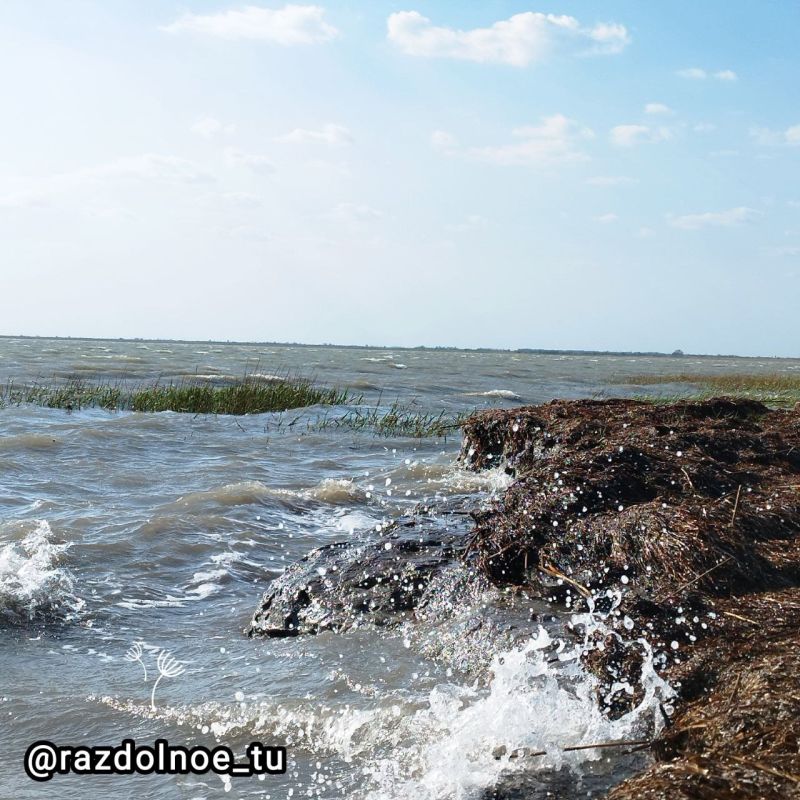 ����������!. � ���������� ������ �����!