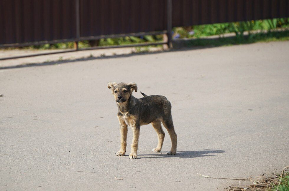 ��������� �� ��� ������ ������� ����� ������� �������� �� ���� ���