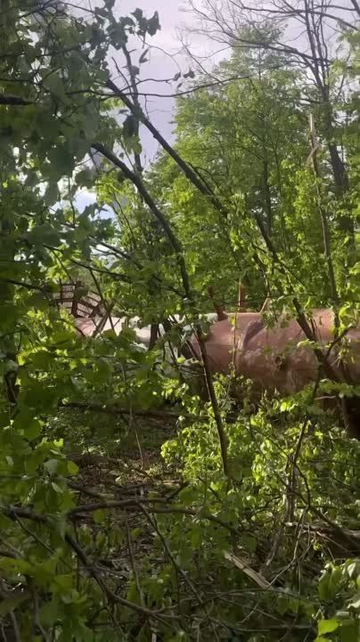 �� ������ �������� ��������� ��������� � ��������