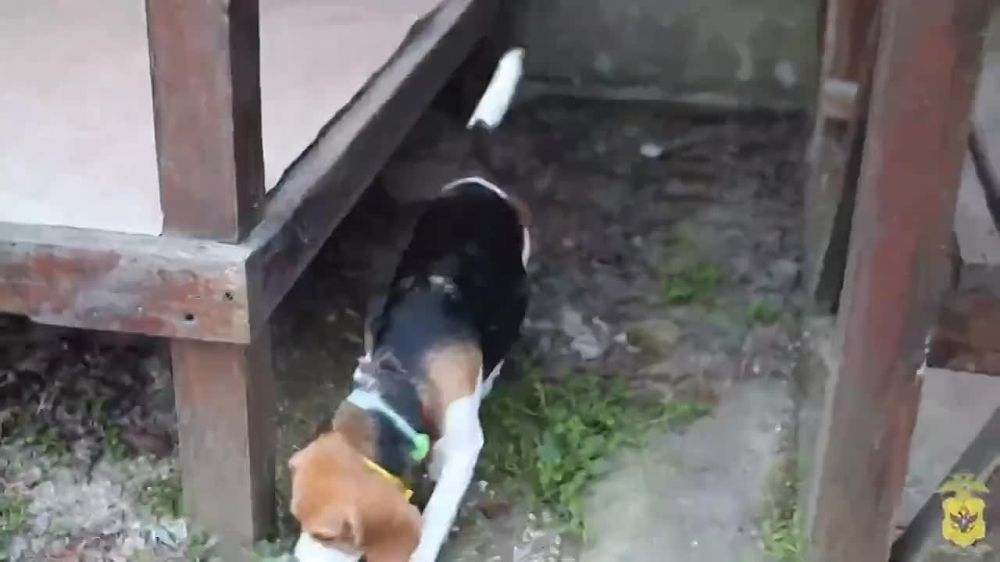 ����� 160 ����� ��������� ������ ����������� � ������ ����������� ������