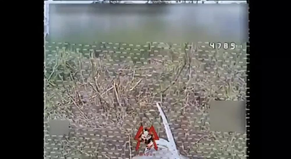 FPV-����� �� ������� ���������� ������ �� ���