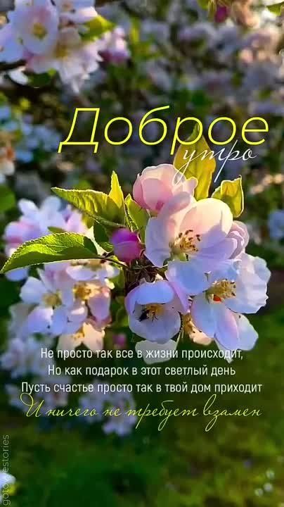 ������ ����. ������� �������� �� ����� ����, ���� � ������� � ������� ������ ����� ���������. ��� �������. ����������� �� +8 ����� �� +18 ���