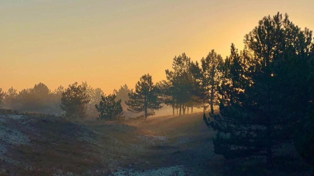 ����� �����: ���������� �����������, ������������ �� ���������� ����