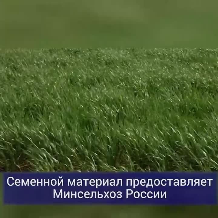 ���������� �������. � ���������� ������� ��������� ��������������� ������ ������������ ������������� ���������� �������...