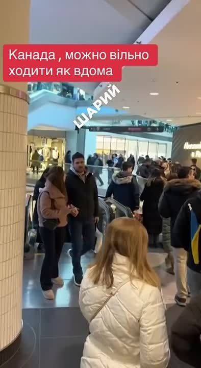 ������ ������� � ������ �����������, � ������� � ���������