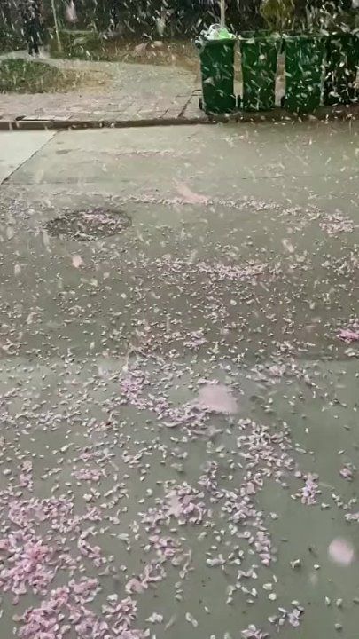 � �� �����?.... �������� ������ � ���� ����� ������� �������� � ���� ����������