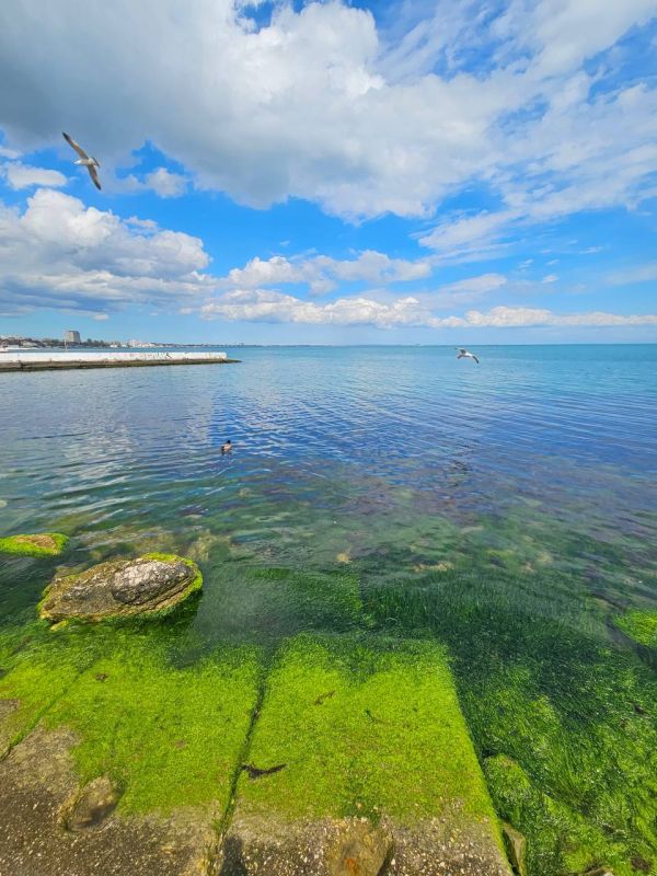 �������� ��������. � ������ ������� ������� ������� � ���������