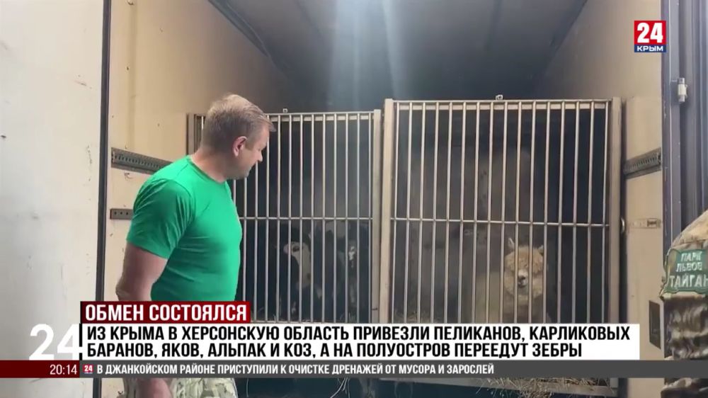 �� ����� � ���������� ������� �������� ��������