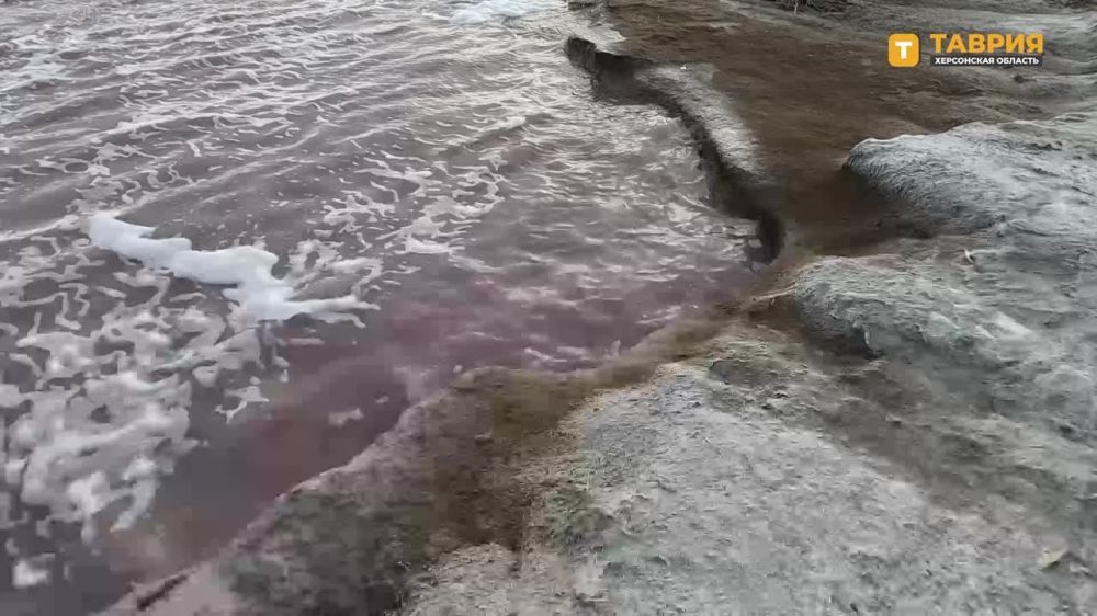 ����� ����� ����� ����������� ���������� �������� � ���������������