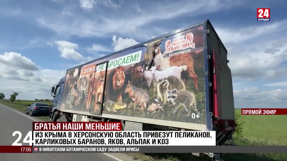 �� ����� � ���������� ������� �������� ���������, ���������� �������, ����, ������ � ���