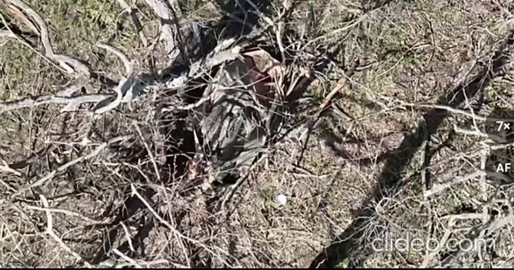 ������� �������� ������ ������ ���������� 14 ������� ��� �� ��