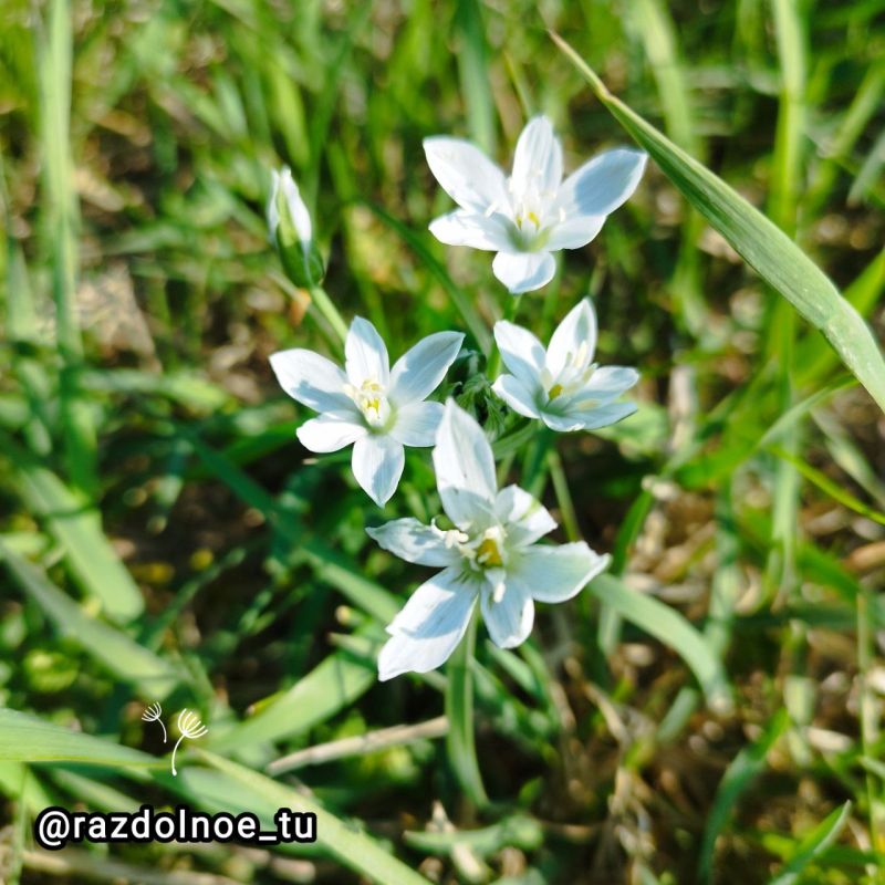 ����������!. � ������ ����� ������!