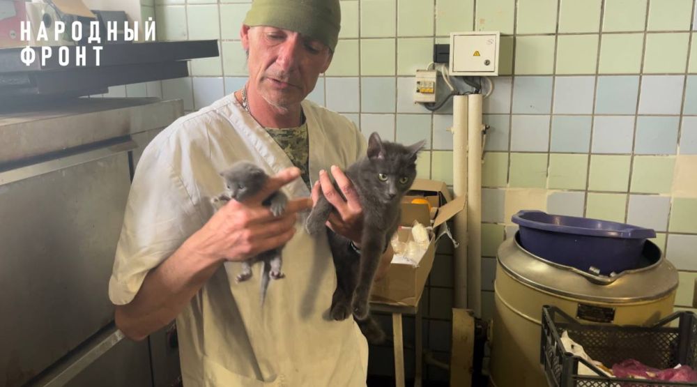 ���� �� ������������!. ������� �� � ������ �� ������� 33 ������ ��. ���������