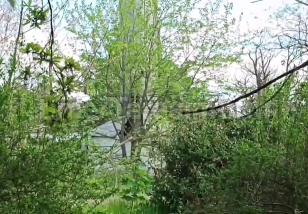 ��� ������: ���������� �������, ��� �����