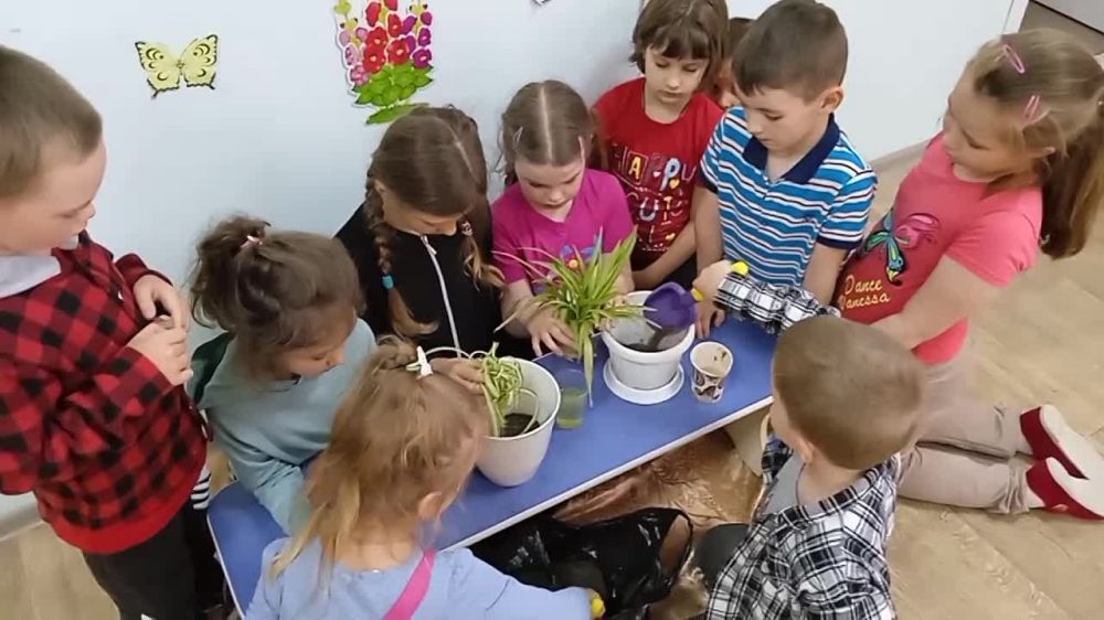 � ������� ���� �������� ���� �����