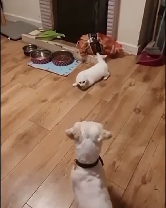 ��� ���, ��� �� ���������, �� ��� �� ������ � "������������ �����", �����������, ������ ��������� �������, ���� ����� ���������