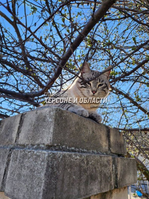 �������� ������� ���������� � ������� ���������� ���� ����������