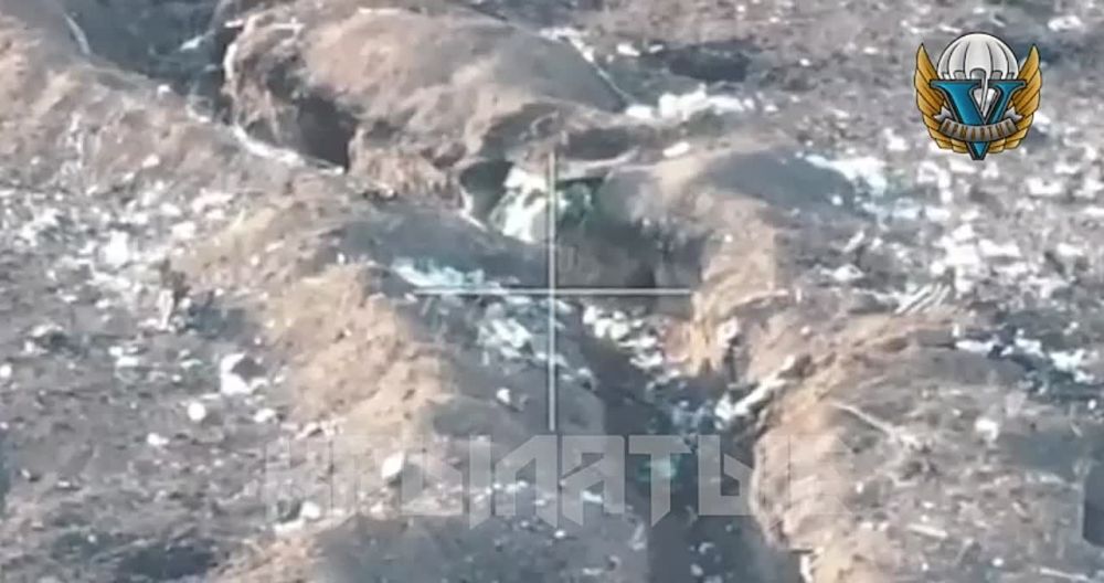 ����������� �����������