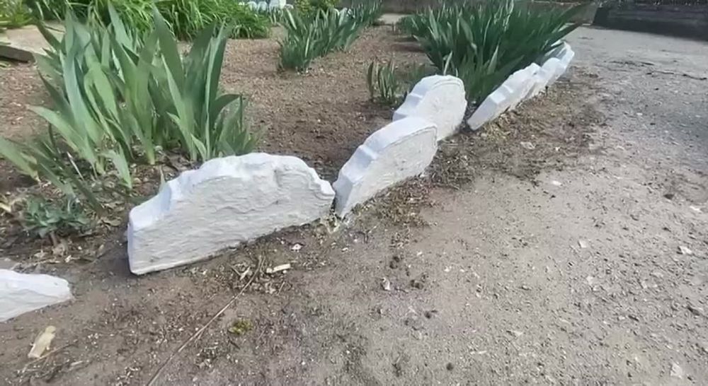 ���������� ����������������� ����������� � ���������� ��� ������ ������� ������ �� ��������������� ����������