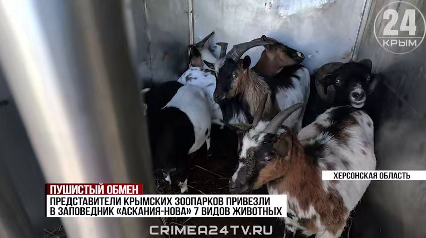 �� ����� � ���������� ���������� ������� �������� 7 ����� ��������