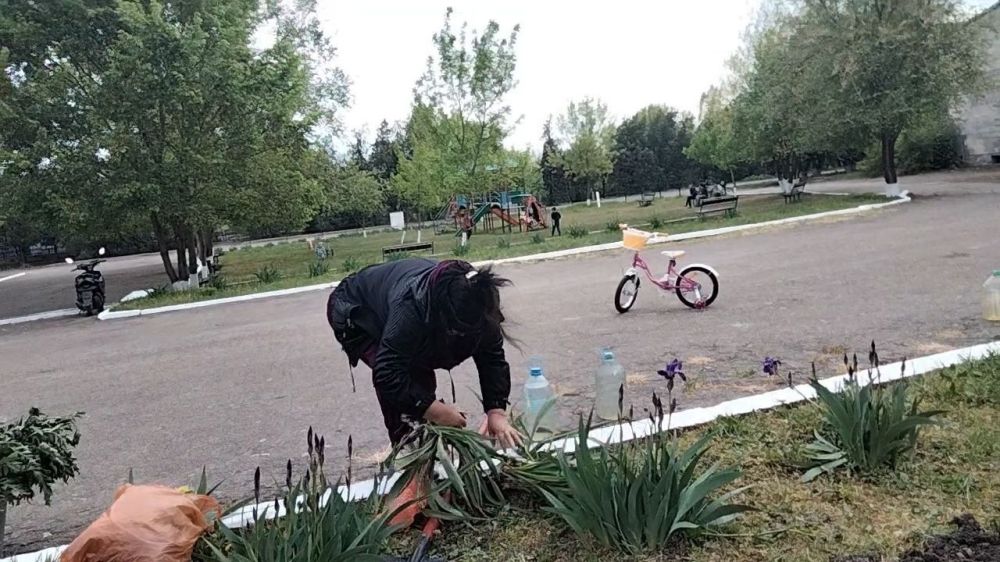 22 ������ �������� ������������� ���� �����