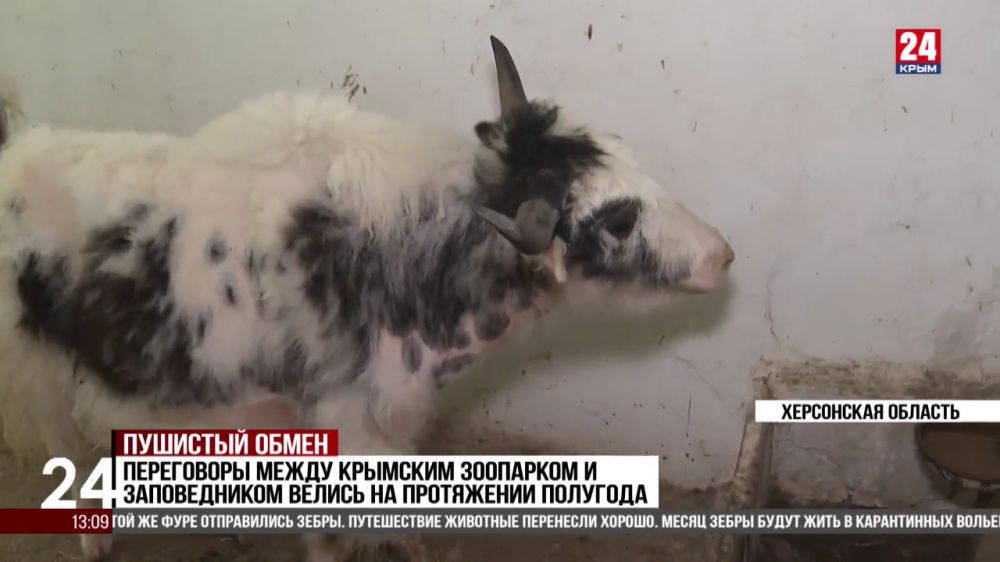 �� ����� � ���������� ��������-���� �������� 7 ����� ��������