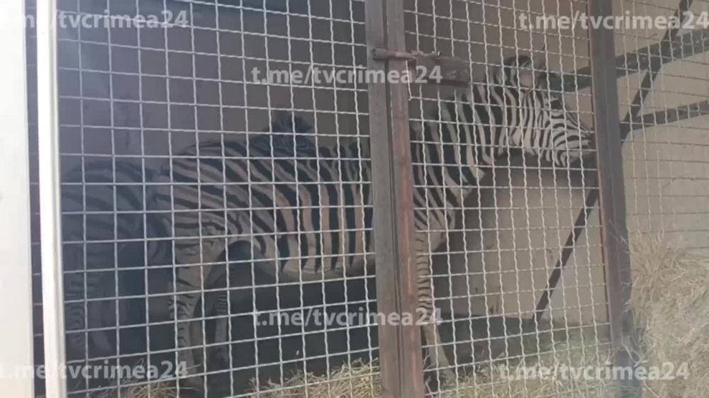 � ���� �� ���������� ������� �������� ����