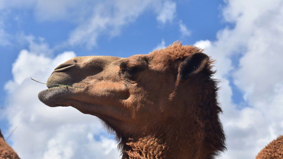 ���������� �������. ���������� ��������-���� ��������� � �������� ��� �������� ���������� ���������� ��������-���� ��������� ��� �������� 28 ������