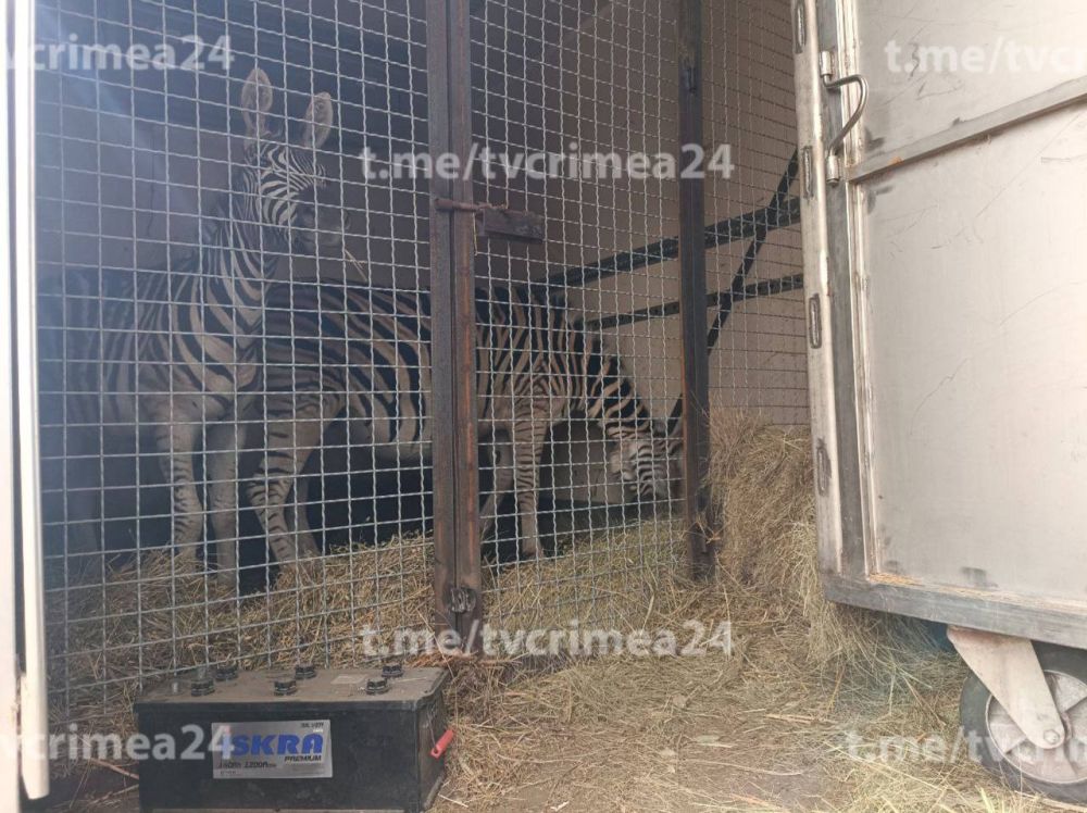 � ���� �� ���������� ������� �������� ����