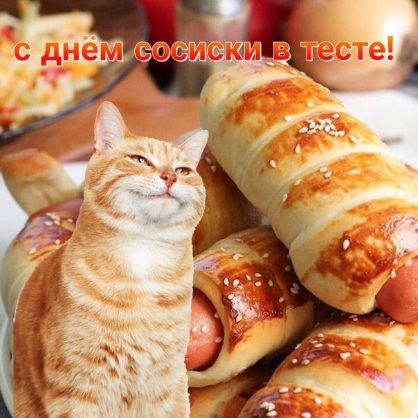 ��������� 24 ������. ������������� ���� ������������ ��������