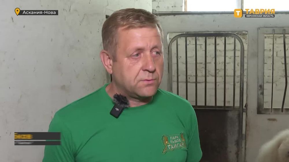 ����������� �� ����� � "�������-����" �������� ����� �������������� �������������� ������ ������� �����������