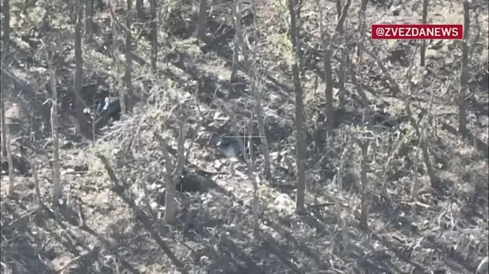 ��� �� ����������� � ������ ������������ ���� ������ ������: ���������� ����� ������� ������� ����� �������� �� �������� ������ ���