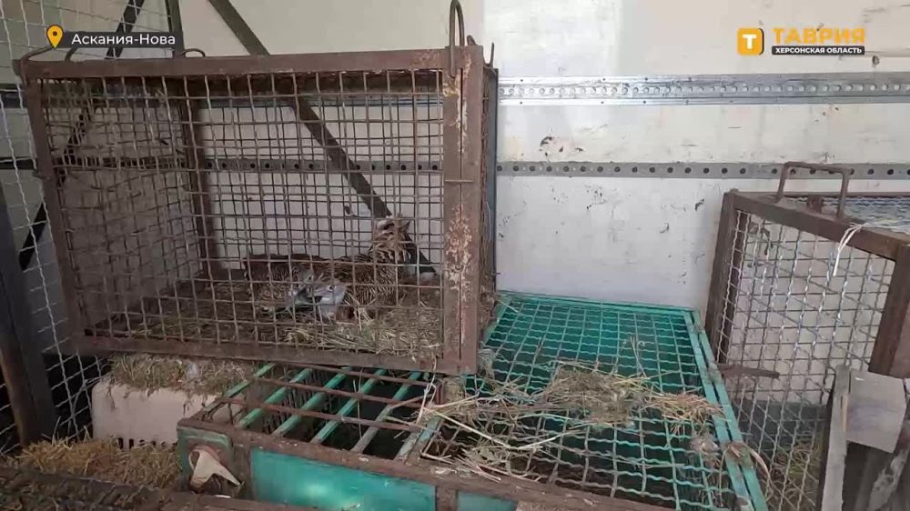 ������������� �������� ��������� �������� � ���������� "�������-����" 7 ����� ��������