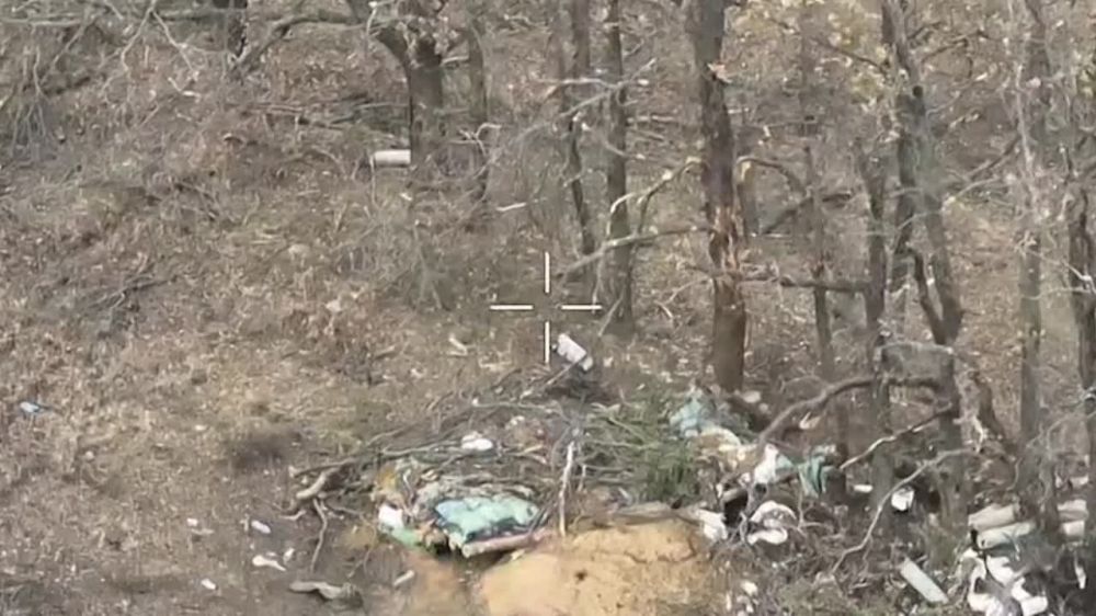 ��� � ���������� �����: ���������� FPV-����� ��������� ������� ���������� �������� �� ���������� �����������