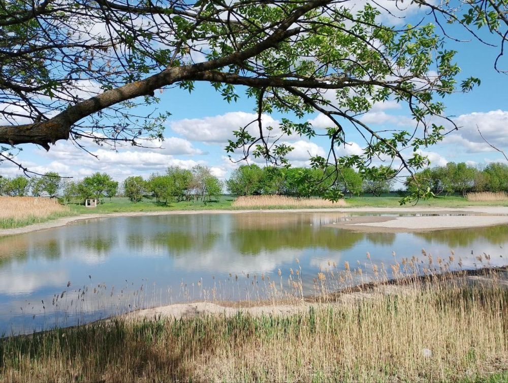 � ���� ���������� ���������� ������ �������� � ������� ������� ����