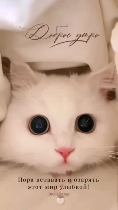 � ������ �����, �����������!