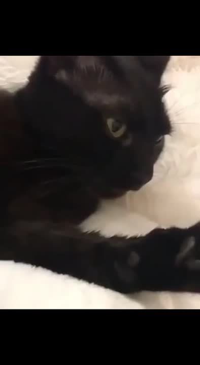 ������ ������ �����, ���� �� �������� ����� � ��������!