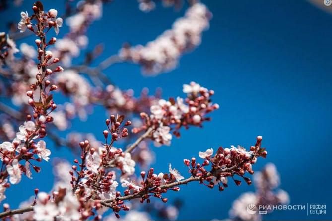 ������ �� ����� ����������� ������