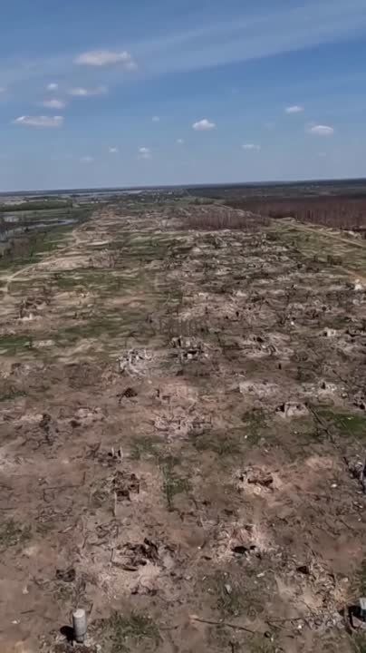 ��� ������ �������� ������ � ���������� �������