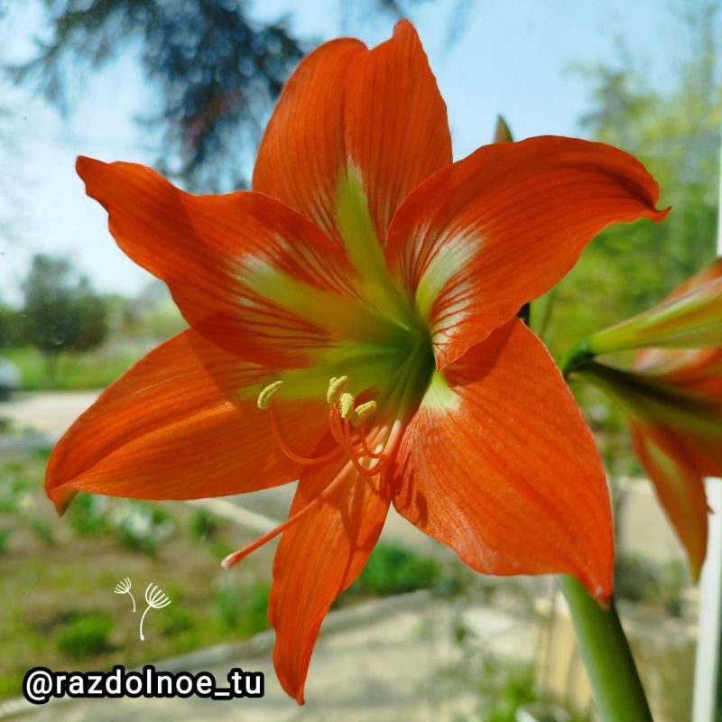 ����������!. � ����� ��������