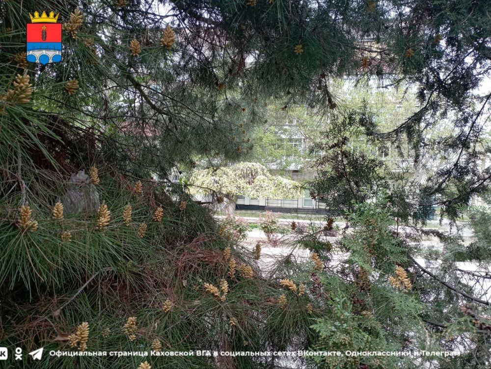 ������ ����, �������!. @VGA_Kakhovka