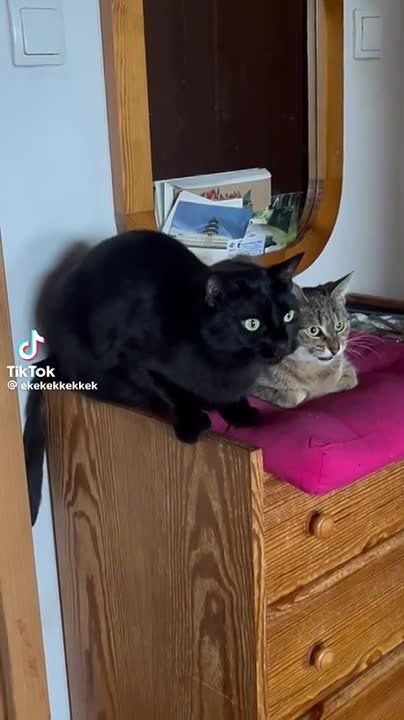 ������� �����. �������� ������ �� ������ ������� � ������� � ������� ������������ ��������-����� ���������� �������