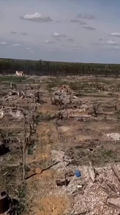 ������ � ���������� ������� ����� ���������� ������� ���