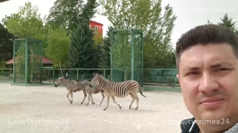 ����� �� ���������� ������� ���������� �� ����� ����� � �������� ������-�����