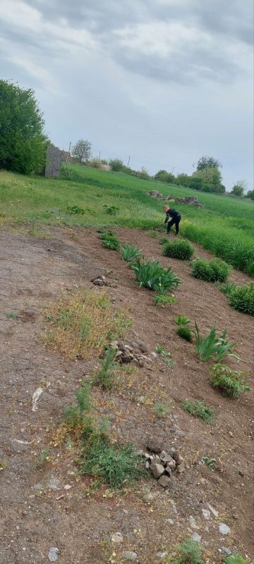 22.04.2024�. ������������ �� ������ ������� �� ������������� ���������� "���, ���� �� ��"