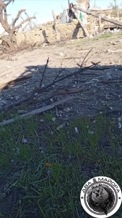 ��� ������: ���������� �����������, ������, ��� �����