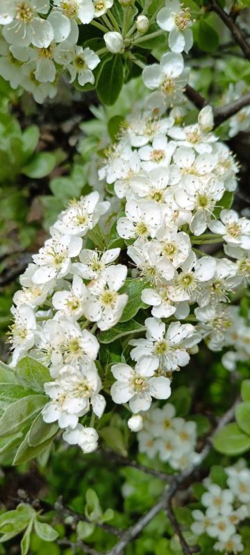 � ������ �����, �����������!