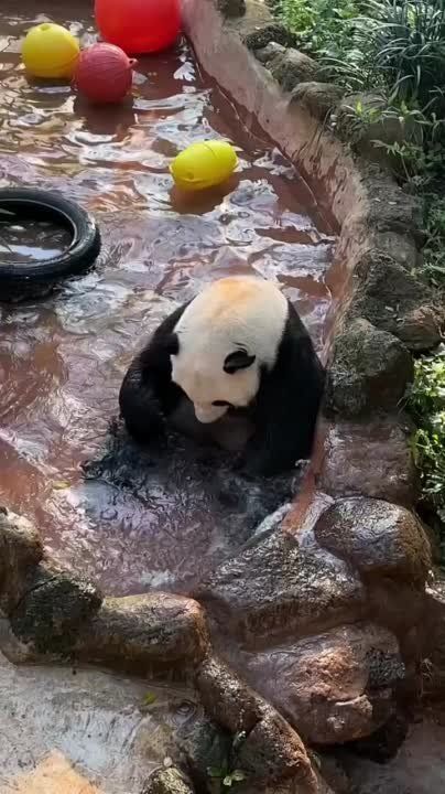 �������. ������� �� �������