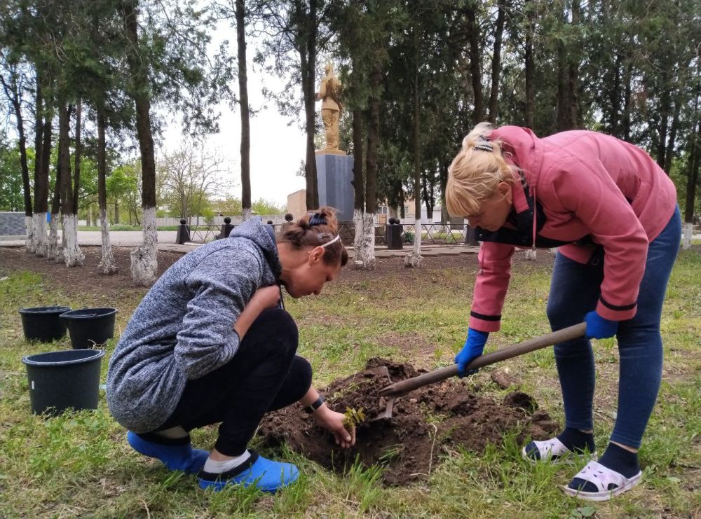 ����� ��������: ������� ����������. ���������� ���������� ��������� ���� �������� � ���������� ���������� ������� ��������...