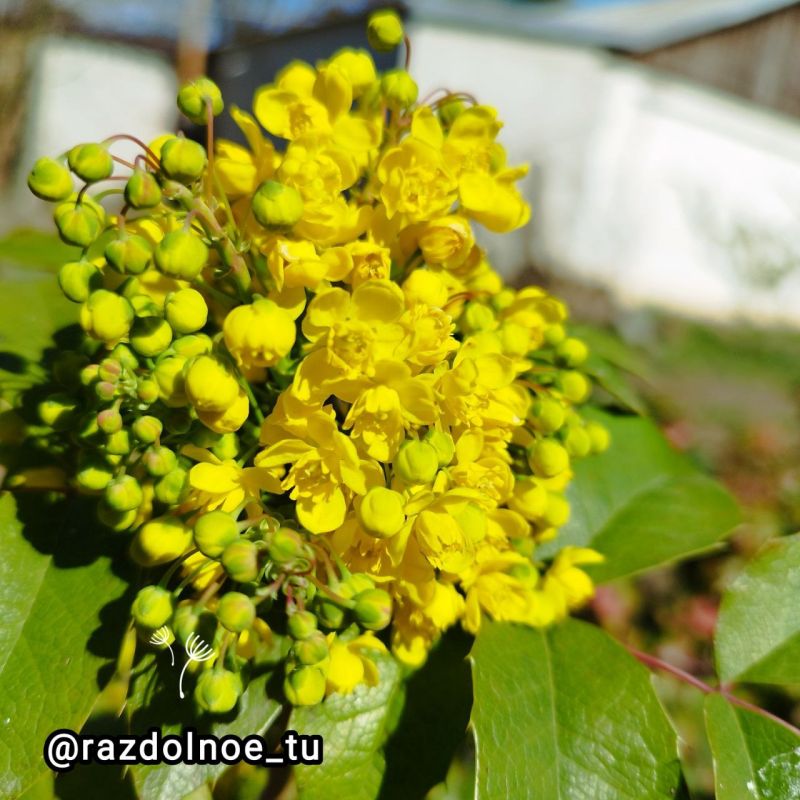 ����������!. � ���� ���������, ���������� ����, ����� ����� �����, �������� �������. ����� ���� ������� �������, ����� ������������� ������. ���� ���� ����� ����������